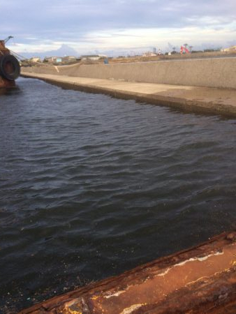 来週はハゼ釣り大会あるょー