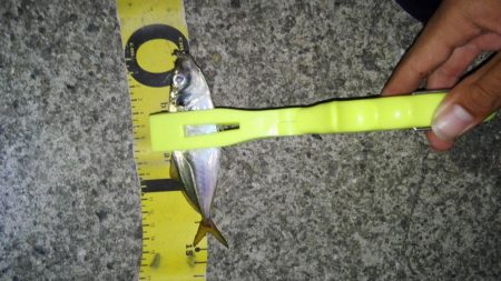 ナイトあーじ＆たーちー