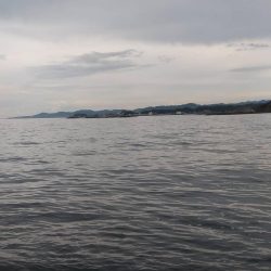 ロックショアゲームIN天神崎