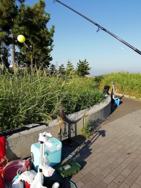 再び台風前に❗