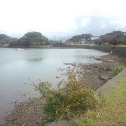 ｷｽ釣れました！