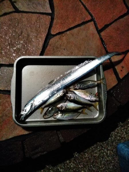 常夜灯アジング