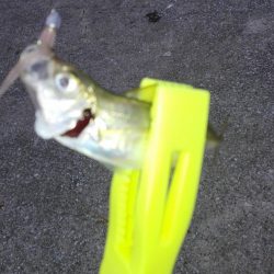 あーじアイエヌジー