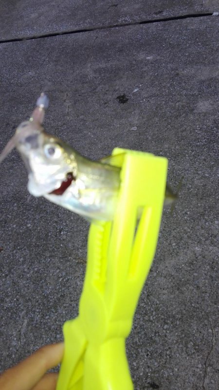 あーじアイエヌジー