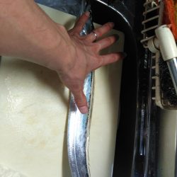 エサには勝てんなぁ。