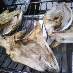 明石渋い青物…