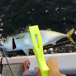 ライトゲーム！！