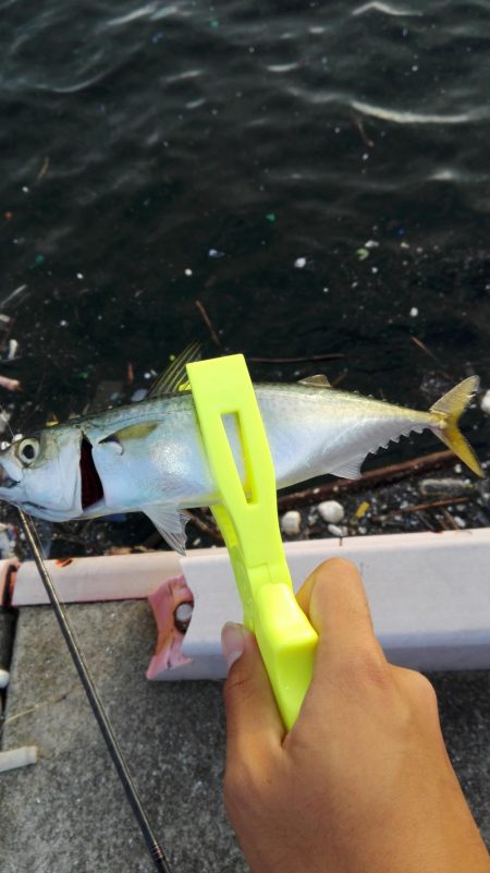 ライトゲーム！！