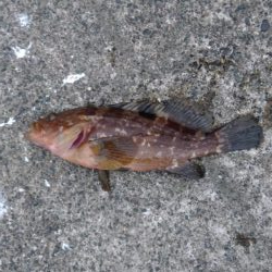 天気予報が違ったので