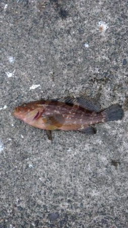 天気予報が違ったので