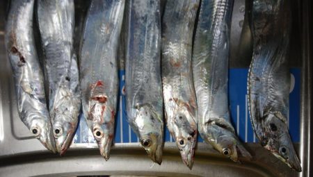 ジグサビキ　ワインド　シーバス