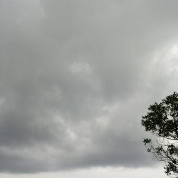 マズメは釣れる