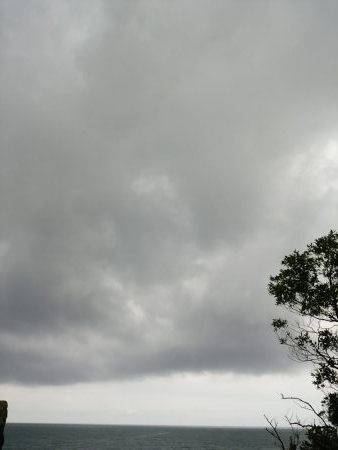 マズメは釣れる