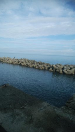 アオリイカ2杯 胴長16センチ!!