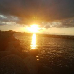 夕まずめ　アオリイカ　3杯