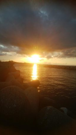 夕まずめ　アオリイカ　3杯