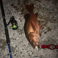 台風からの贈り物、ウィードエリア