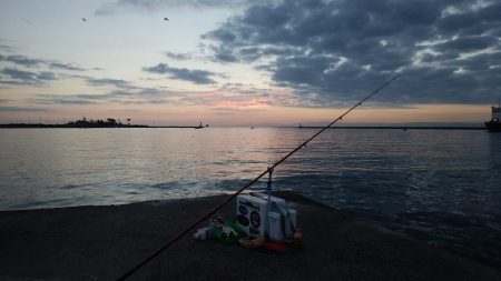 チャリコ湧きキス何処へ