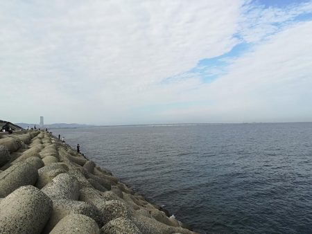 貝塚人工島でアオリ新子GET