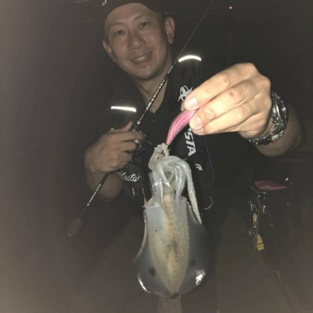 秋アオリイカエギング