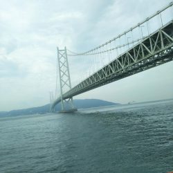 アジュールでタチウオ激渋