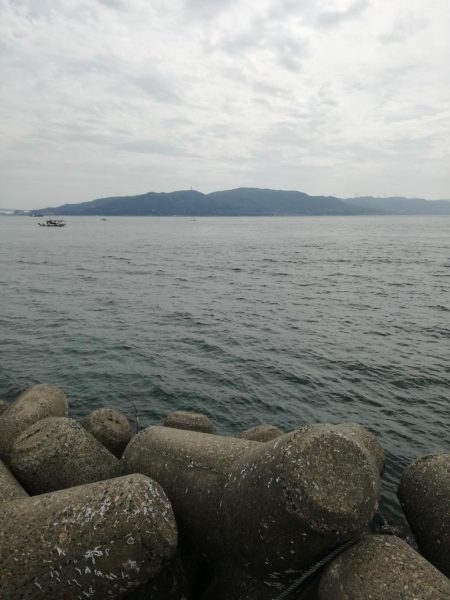 青物狙いからのエギング