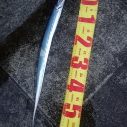 大潮なのに渋い…