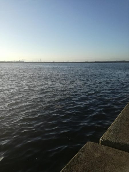 ケーソンタチウオ調査