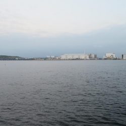 久しぶりの湾奧釣行でシーバスキャッチ!