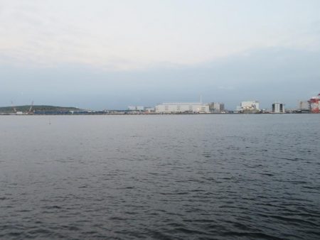 久しぶりの湾奧釣行でシーバスキャッチ!