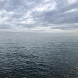 ライトショアジギング2目