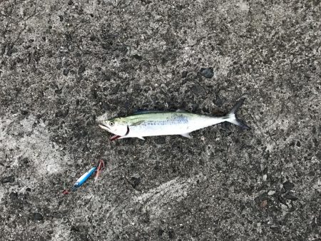 久しぶりに連続ヒット