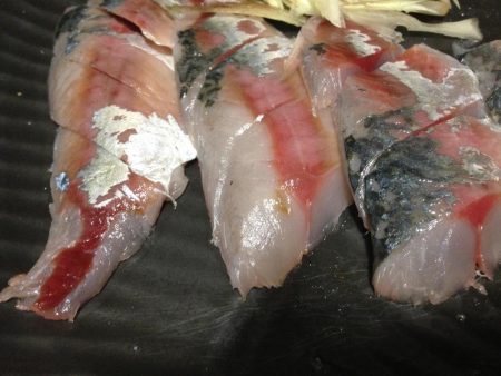 タチウオ…じゃなくてサバ釣り