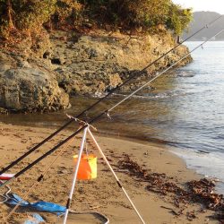 初秋のキス釣り