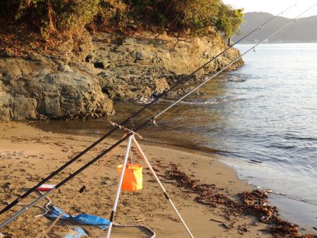 初秋のキス釣り