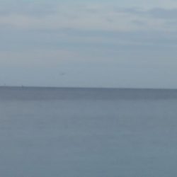 時合いが続かない(>_<)