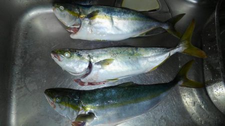 フックの確認をわすれずに！