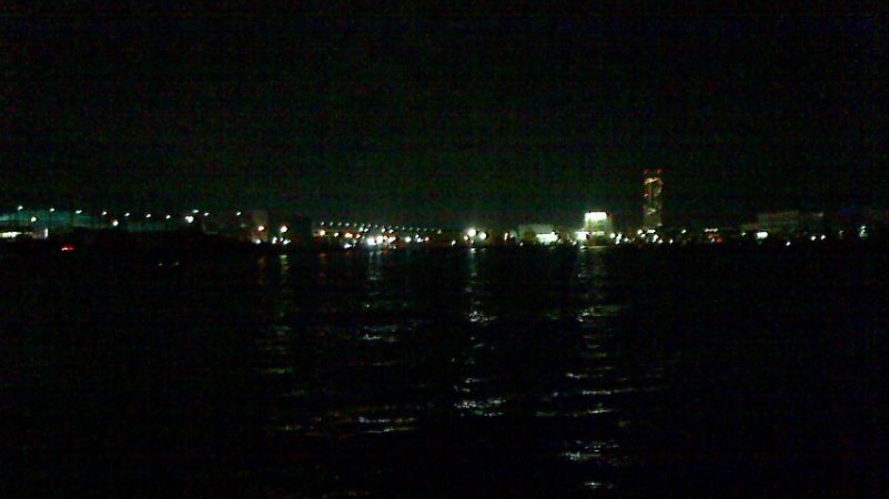 今日も太刀魚貧果