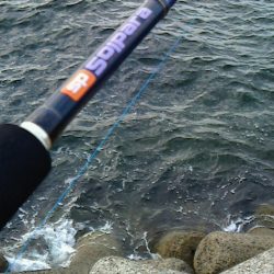 夕マズメ前にショアジギ