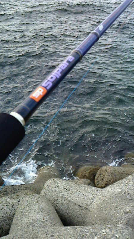 夕マズメ前にショアジギ