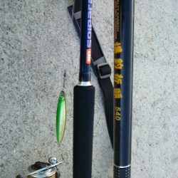 二日連続の貝塚