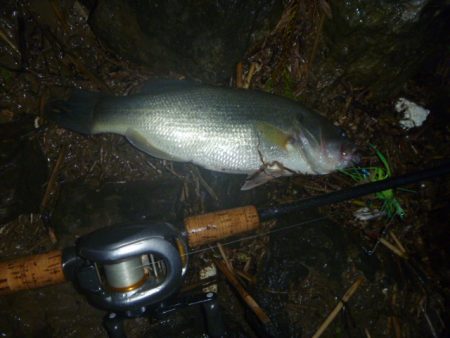 浮きごみ周りで