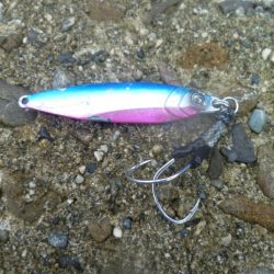 ナブラ発生したけど・・・