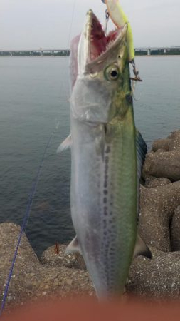 台風通過後ショアジギ７目釣り