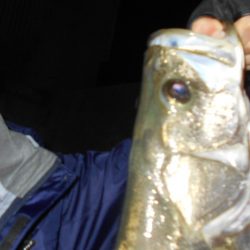 チャンスは逃さない。