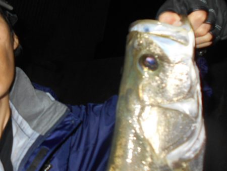 チャンスは逃さない。