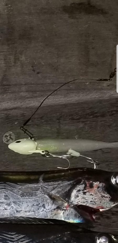 気軽にワインド