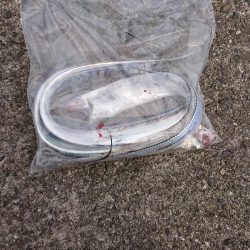 いい季節になってきました