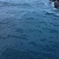 タチウオ貝塚遠征3日目