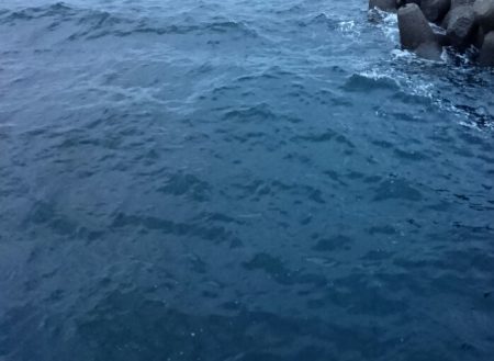 タチウオ貝塚遠征3日目